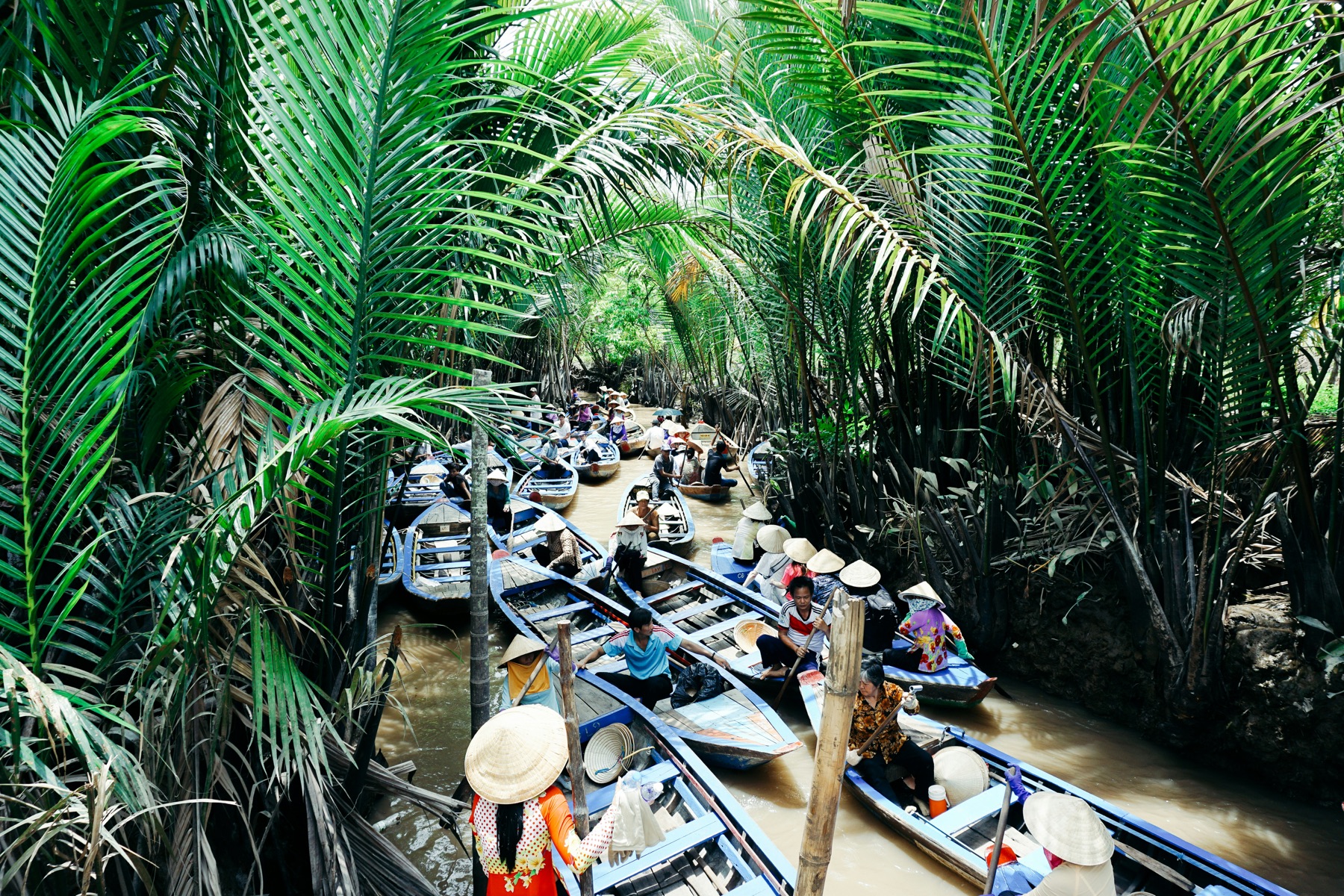 Visitors and local boat operators sharing a palm-lined waterway